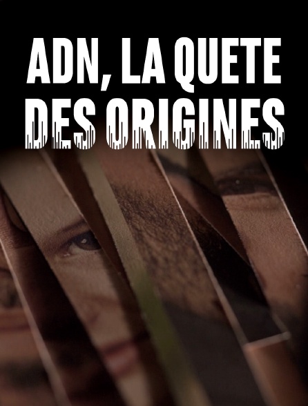 ADN, la quête des origines