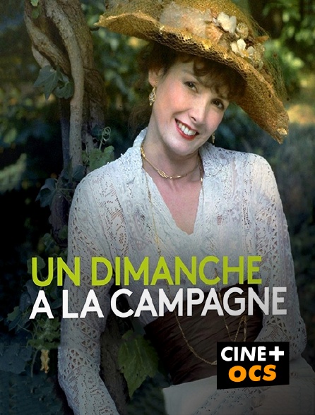 CINÉ Cinéma - Un dimanche à la campagne