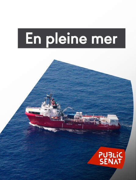 Public Sénat - En pleine mer