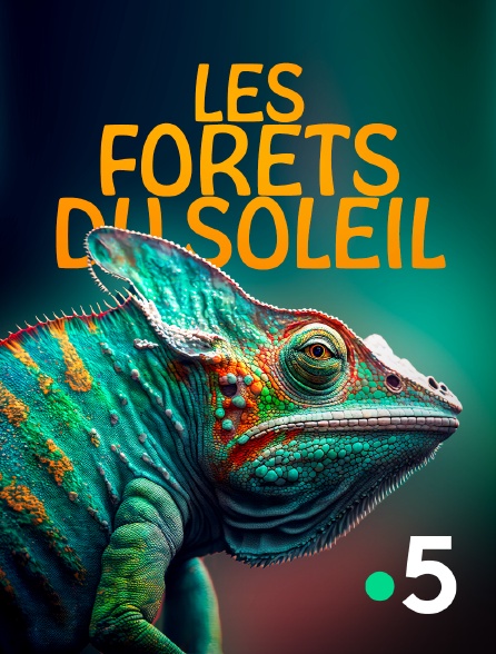 France 5 - Les forêts du soleil