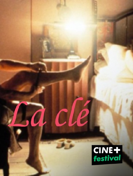 CINE+ Festival - La clé