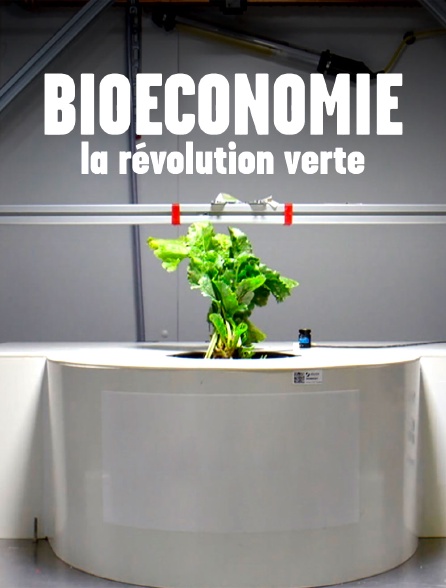 Bioéconomie : la révolution verte