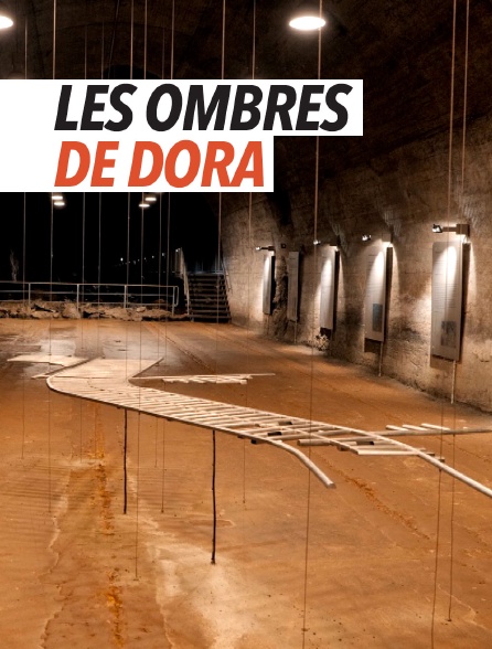 Les ombres de Dora