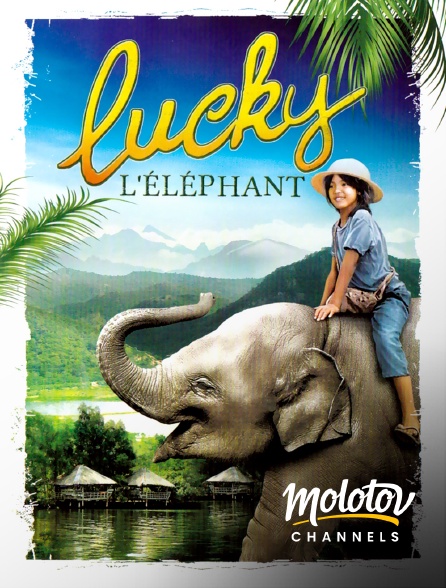 Mango - Lucky l'éléphant
