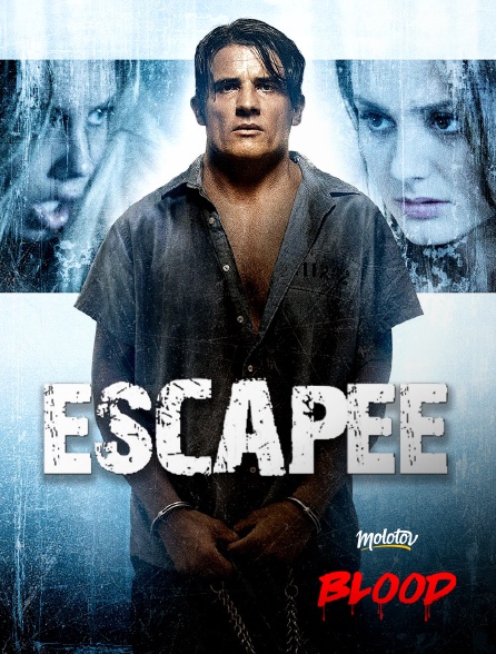 Molotov Channels BLOOD - Escapee