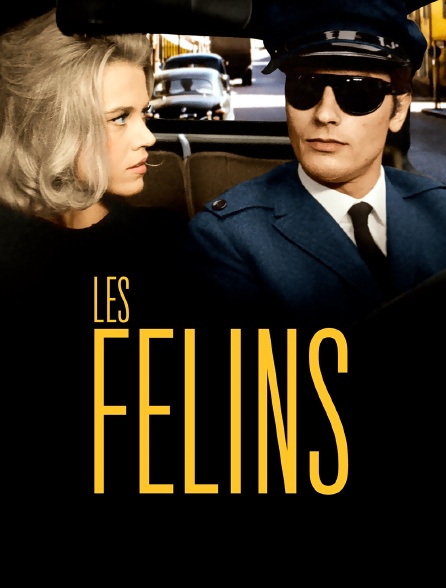 Les félins