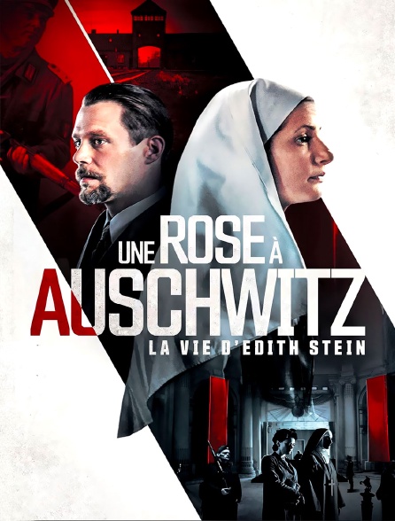 Une rose à Auschwitz : La vie d'Edith Stein