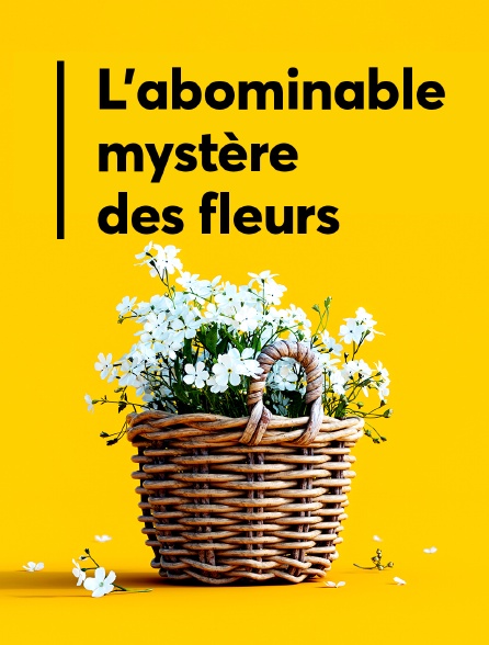 L'abominable mystère des fleurs