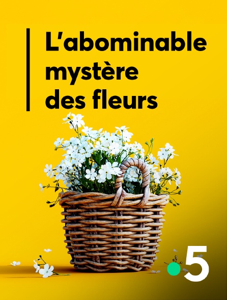 France 5 - L'abominable mystère des fleurs