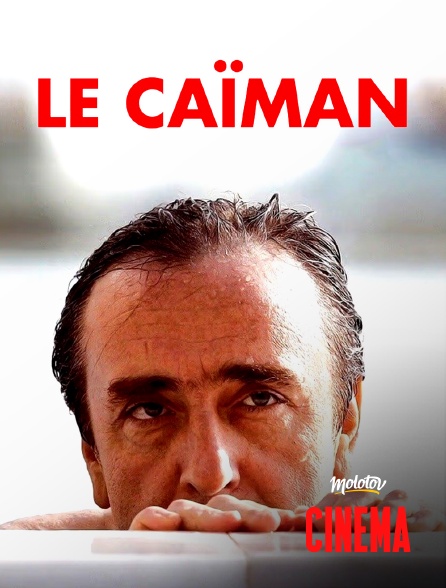 Molotov Channels Cinéma - Le Caïman