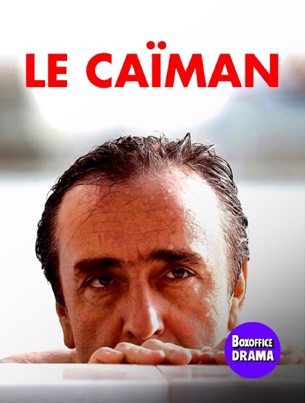 Box Office Drama - Le Caïman