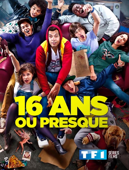 TF1 Séries Films - 16 ans ou presque