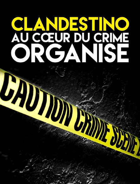 Clandestino : au cœur du crime organisé