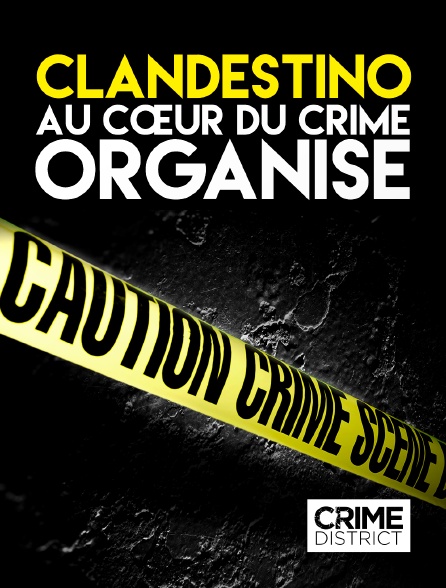 Crime District - Clandestino : au cœur du crime organisé