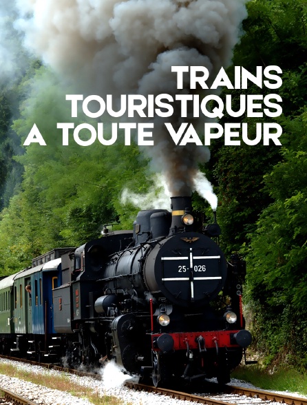 Trains touristiques à toute vapeur