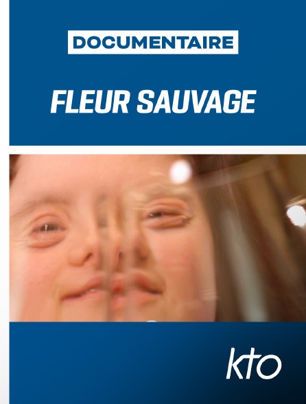 KTO - Fleur sauvage