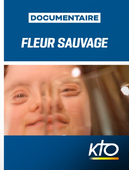 KTO - Fleur sauvage