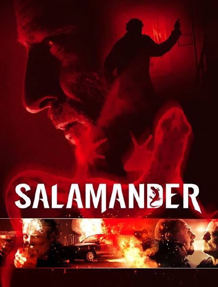 Salamander