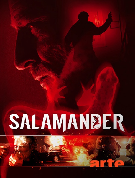 Arte - Salamander