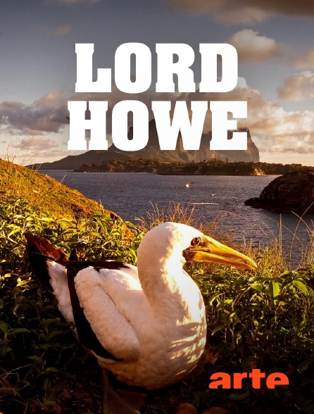 Arte - Lord Howe, la renaissance de l'île-sanctuaire