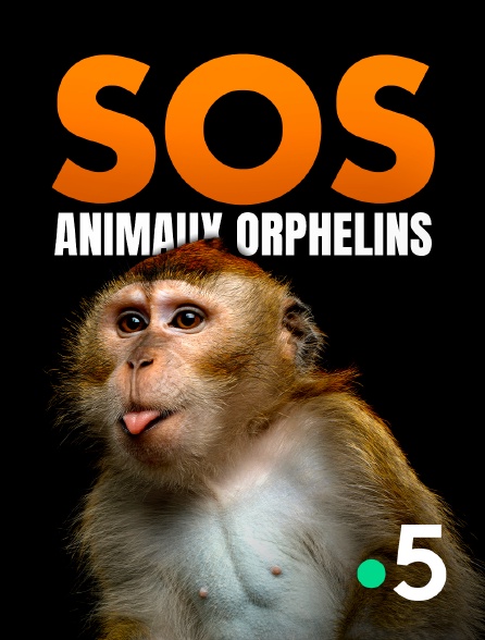 France 5 - SOS animaux orphelins