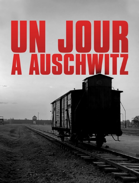 Un jour à Auschwitz