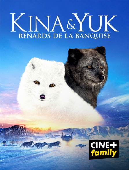 CINE+ Family - Kina & Yuk : renards de la banquise