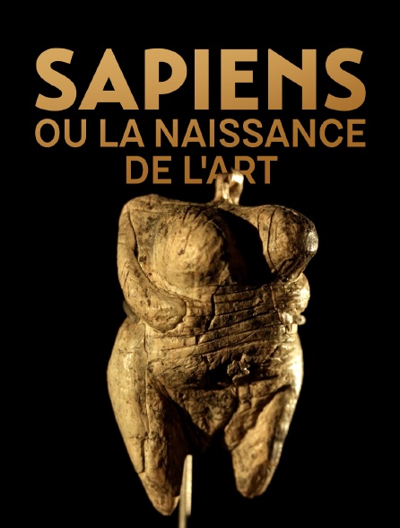 Sapiens ou la naissance de l'art