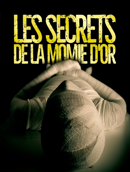 Les secrets de la momie d'or
