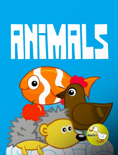Duck TV - Animals