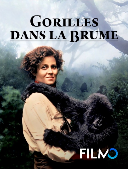 FilmoTV - Gorilles dans la brume