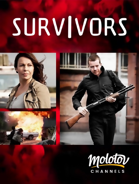 Molotov Channels - Survivors