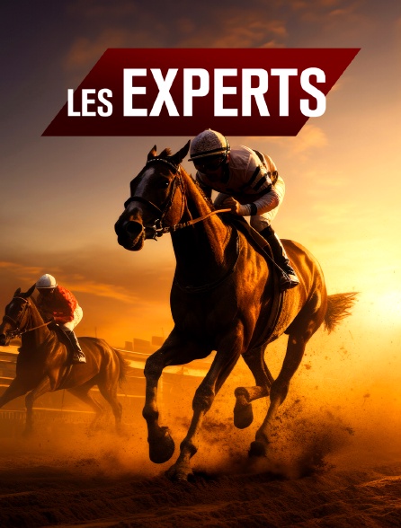 Les experts