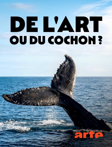 Arte - De l'art ou du cochon ? La créativité animale en question