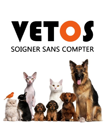 Vétos : soigner sans compter