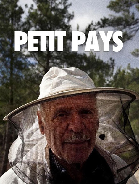 Petit pays