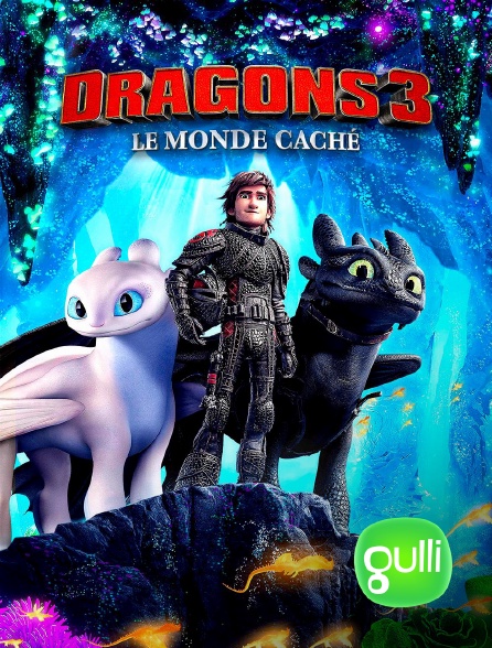 Gulli - Dragons 3 : le monde caché