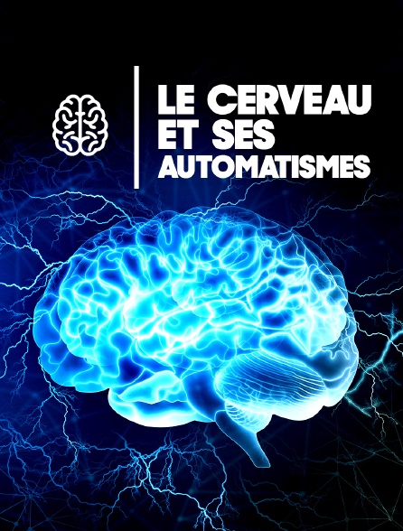 Le cerveau et ses automatismes