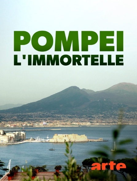 Arte - Pompéi l'immortelle