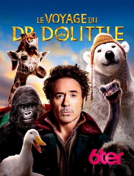 6ter - Le voyage du Dr Dolittle
