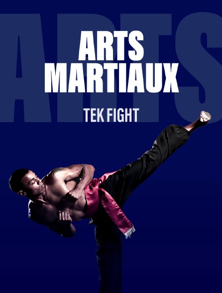 Arts martiaux - Tek Fight