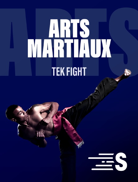 Sport en France - Arts martiaux - Tek Fight