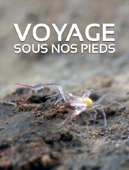 Voyage sous nos pieds