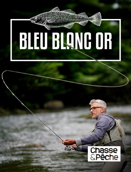 Chasse et pêche - Bleu blanc or