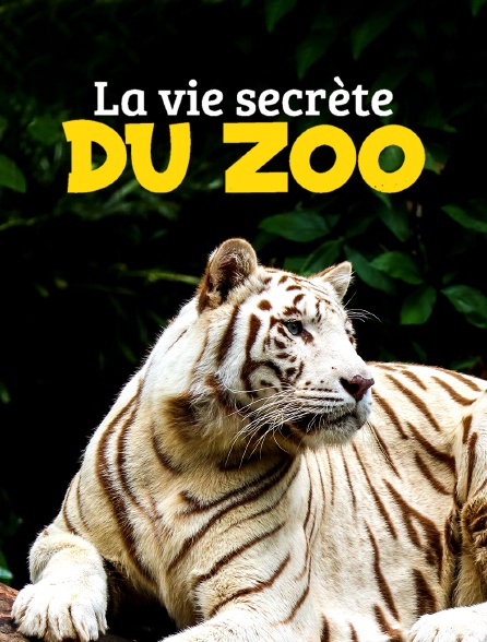 La vie secrète du zoo