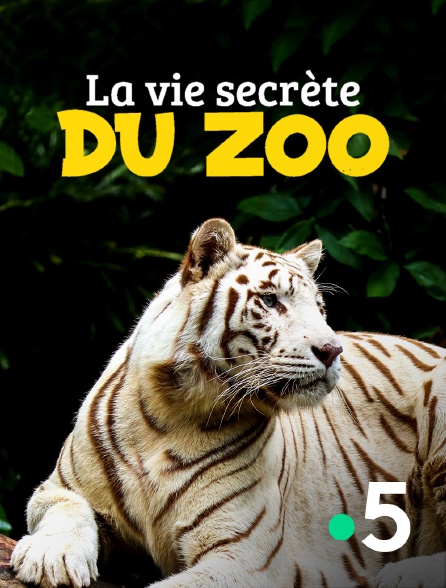 France 5 - La vie secrète du zoo