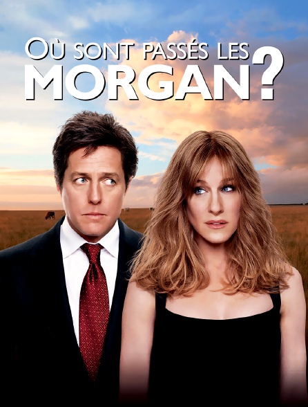 Ou Sont Passes Les Morgan Où sont passés les Morgan ? en Streaming - Molotov.tv