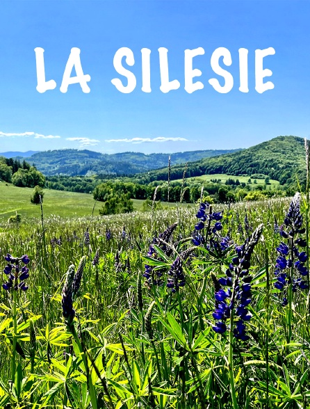 La Silésie, au coeur de l'Europe