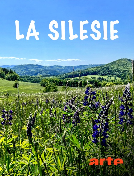 Arte - La Silésie, au coeur de l'Europe