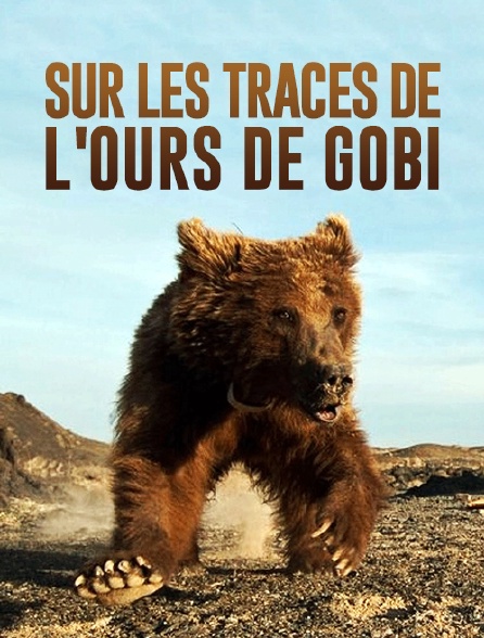 Sur les traces de l'ours de Gobi
